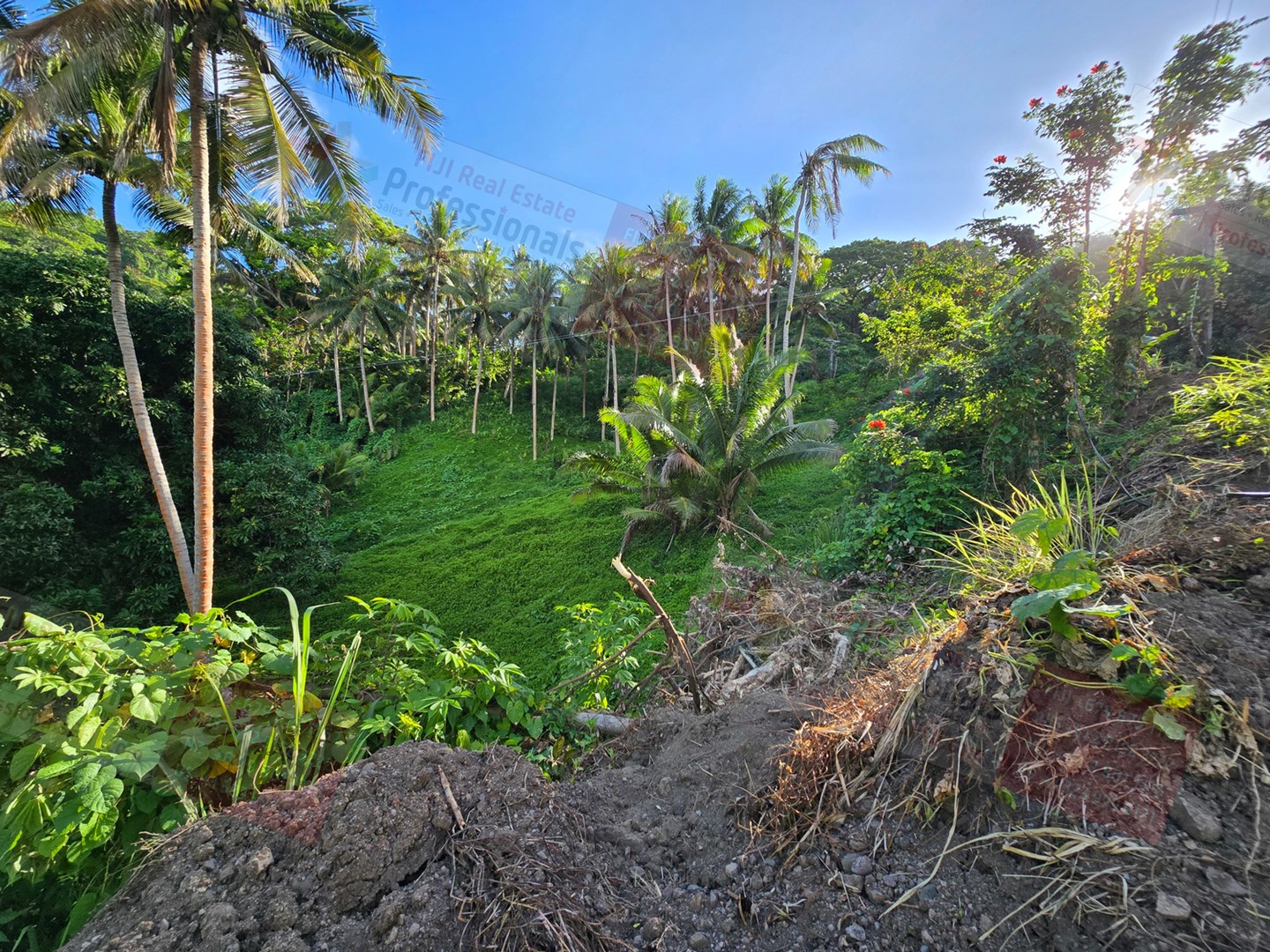  Savusavu Northern Division