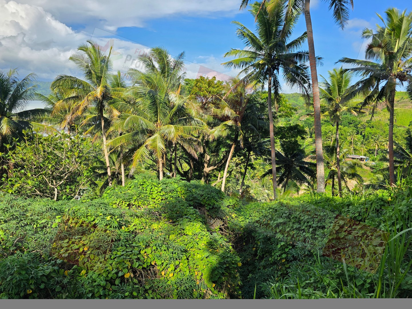  Savusavu Northern Division