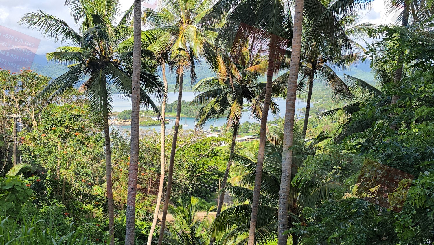  Savusavu Northern Division