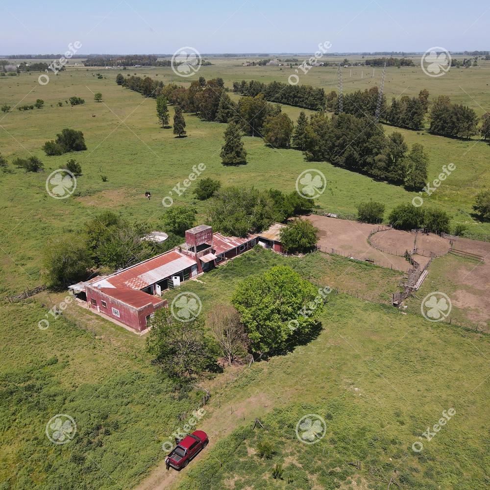 Coronel Brandsen Brandsen Buenos Aires Province