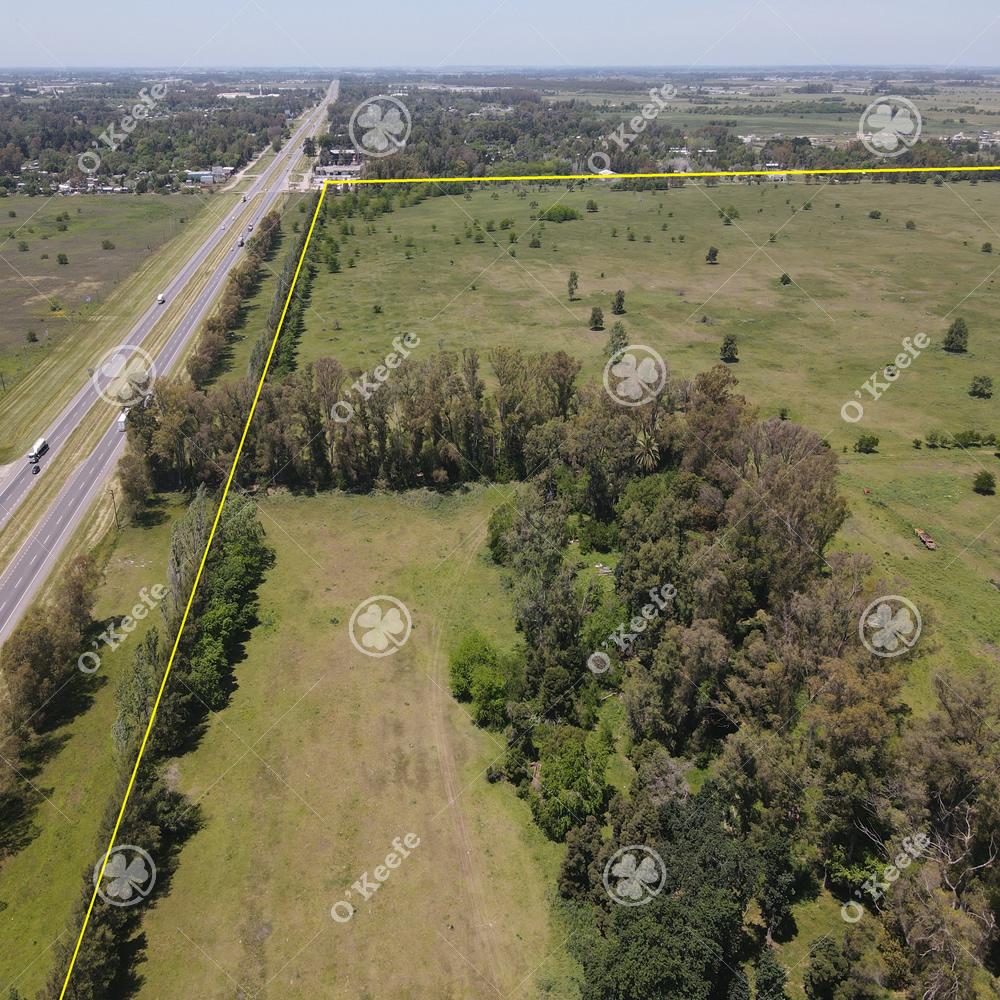 Coronel Brandsen Brandsen Buenos Aires Province
