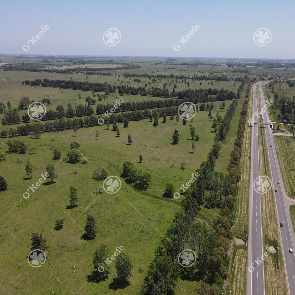 Coronel Brandsen Brandsen Buenos Aires Province