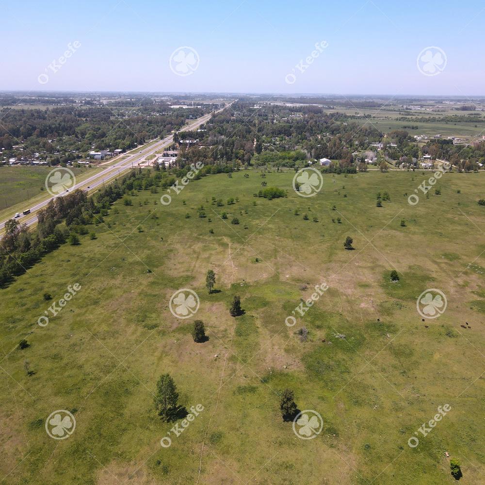 Coronel Brandsen Brandsen Buenos Aires Province