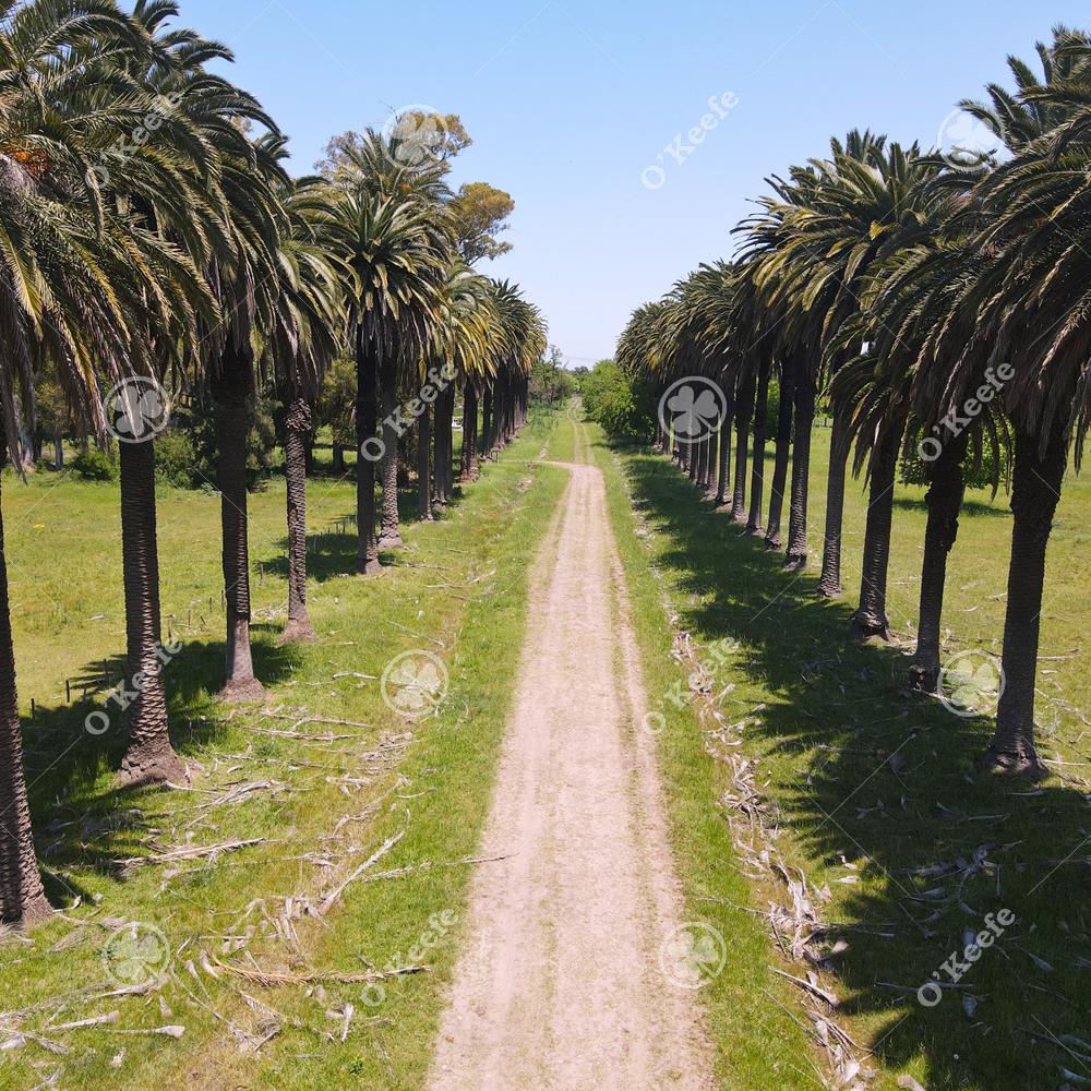 Coronel Brandsen Brandsen Buenos Aires Province