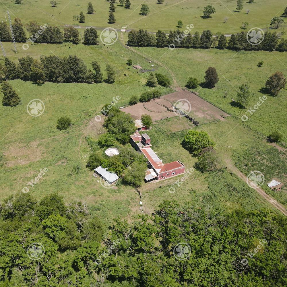 Coronel Brandsen Brandsen Buenos Aires Province