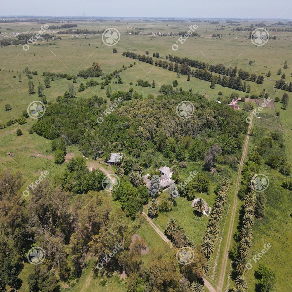 Coronel Brandsen Brandsen Buenos Aires Province