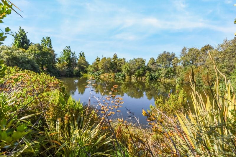 43 Bronte Road East Tasman District Tasman