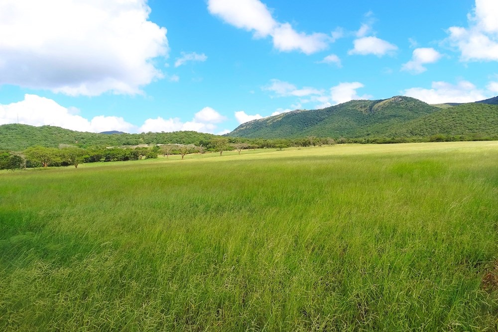  Mbombela Mpumalanga