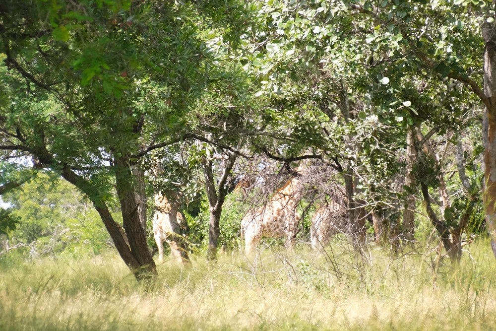  Mbombela Mpumalanga