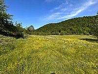  Kutluca KÃ¶yÃ¼ Bursa (province)