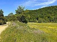  Kutluca KÃ¶yÃ¼ Bursa (province)