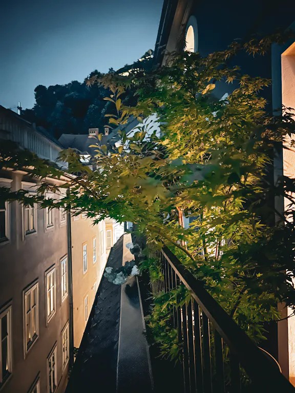 Mestni trg Ljubljana Ljubljana