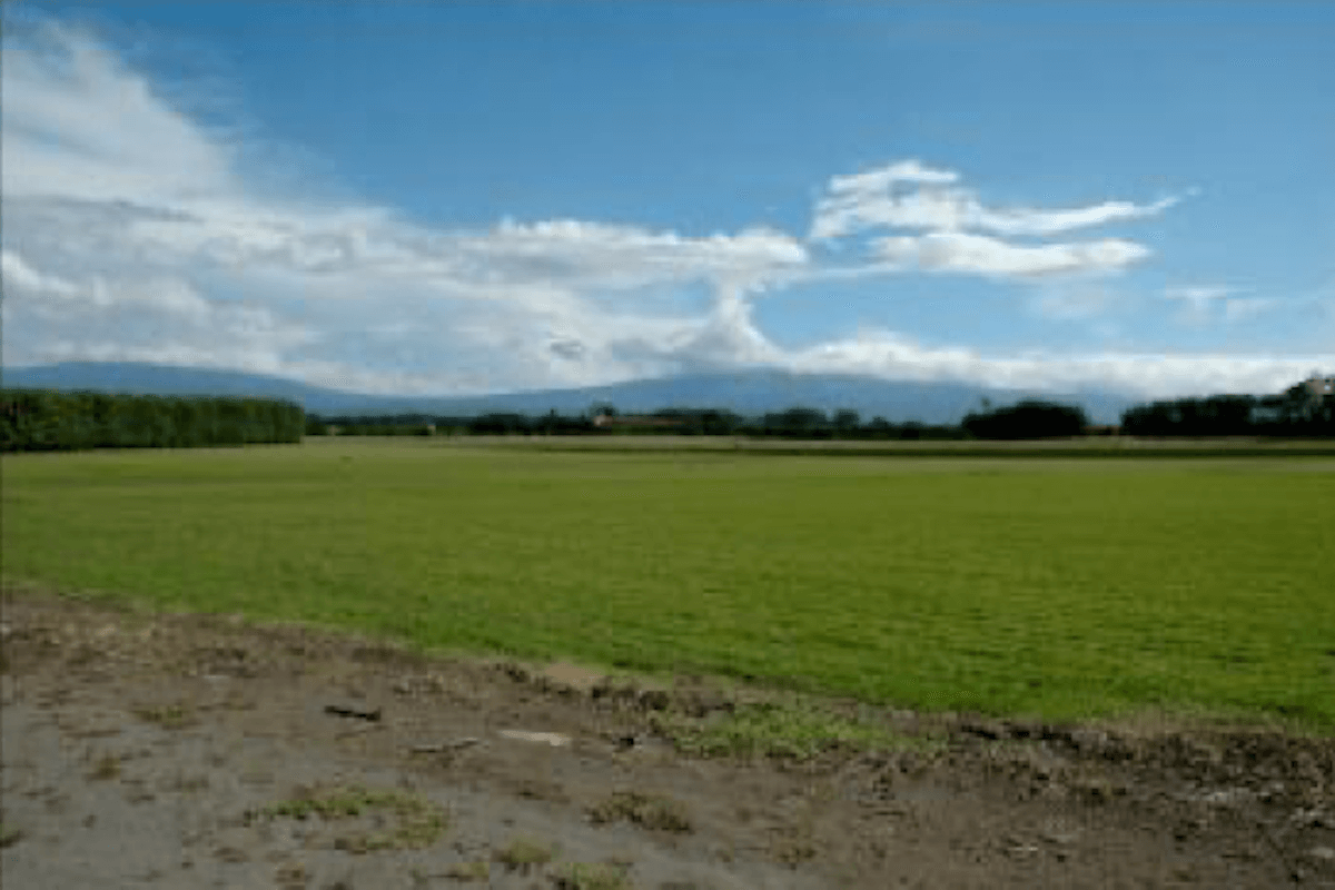  Alajuela Alajuela Province