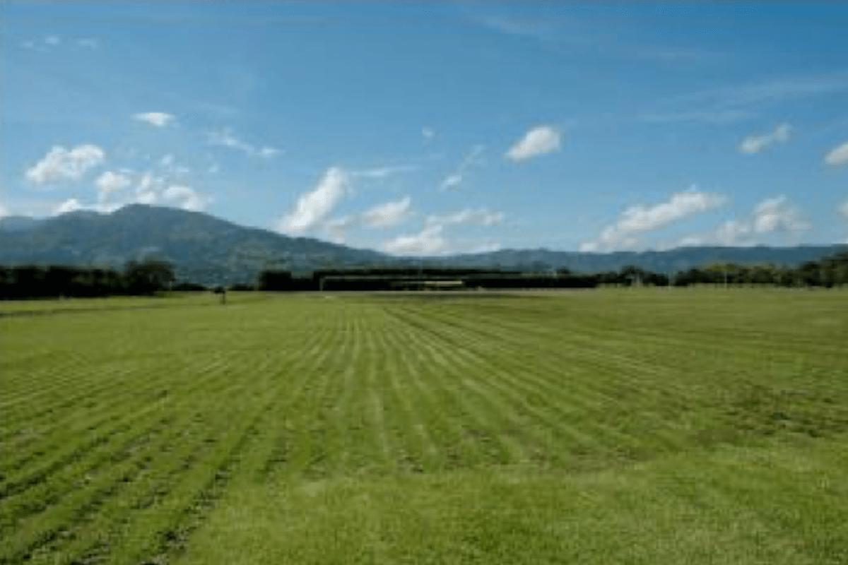  Alajuela Alajuela Province