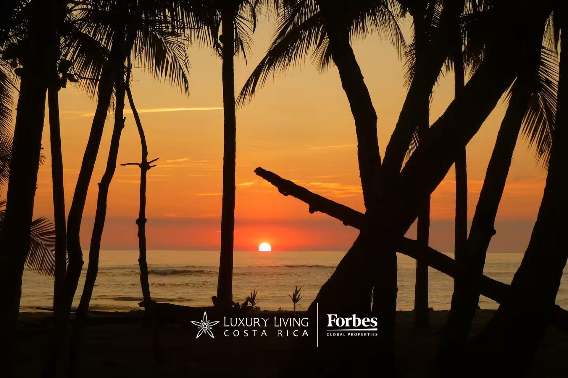 Malpais Puntarenas Province Puntarenas Province