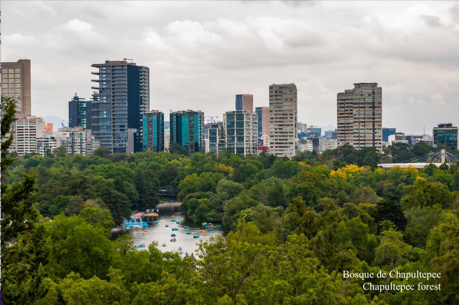 Roma Norte Mexico City Mexico City