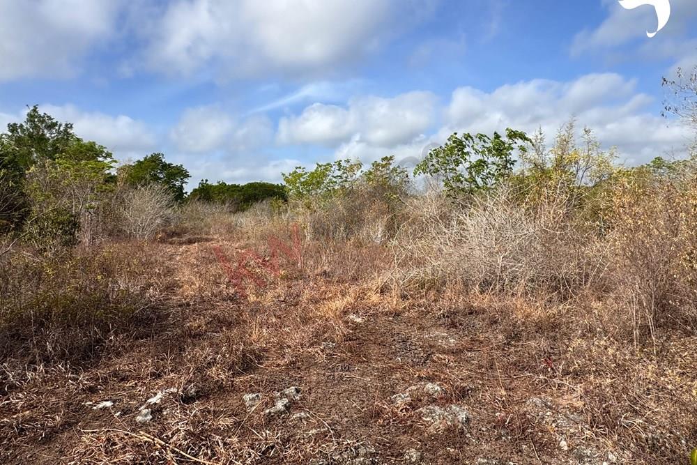  Mahahual Quintana Roo