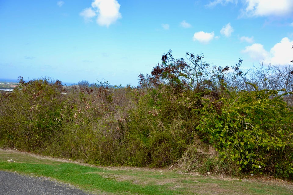 215 Sugar Bird Dr Sion Farm St. Croix