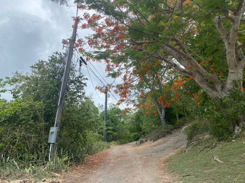 Q66R+XHW, Christiansted, St Croix 00820, USVI Christiansted St. Croix