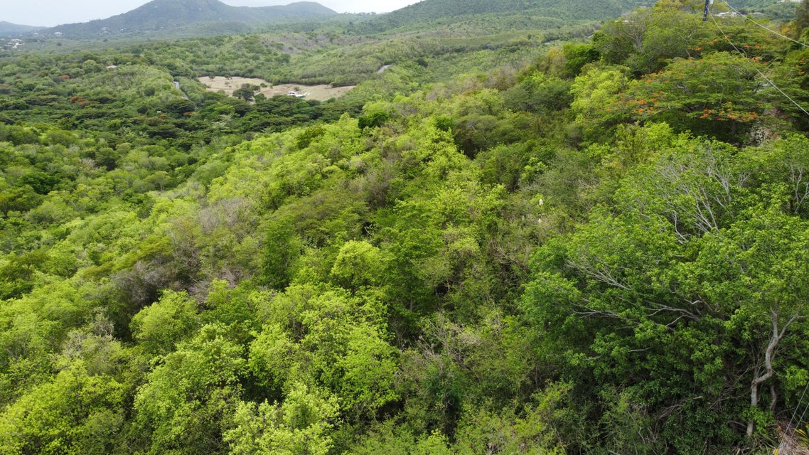 Q66R+XHW, Christiansted, St Croix 00820, USVI Christiansted St. Croix
