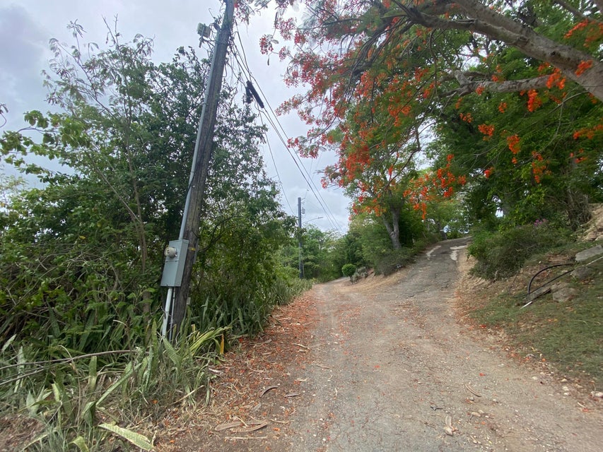 Q66R+XHW, Christiansted, St Croix 00820, USVI Christiansted St. Croix