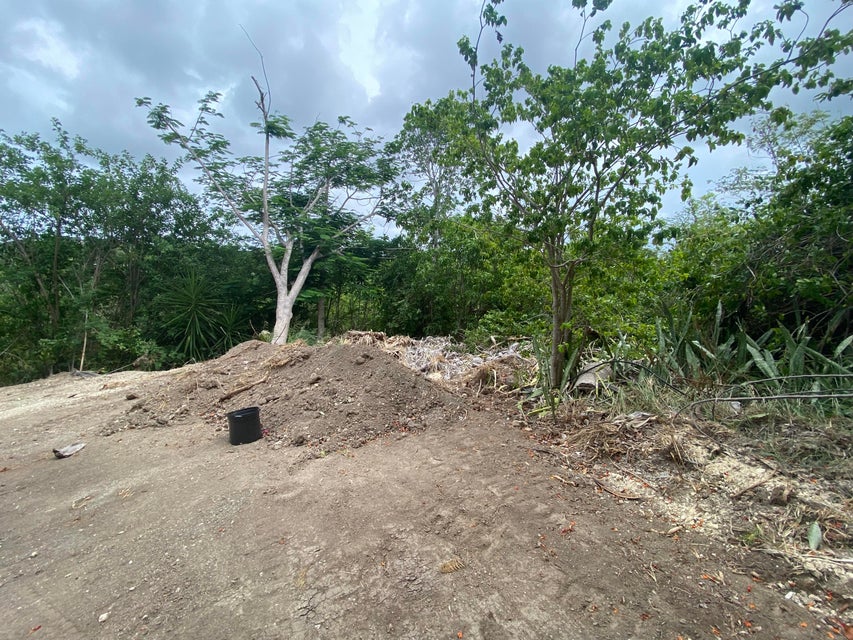 Q66R+XHW, Christiansted, St Croix 00820, USVI Christiansted St. Croix