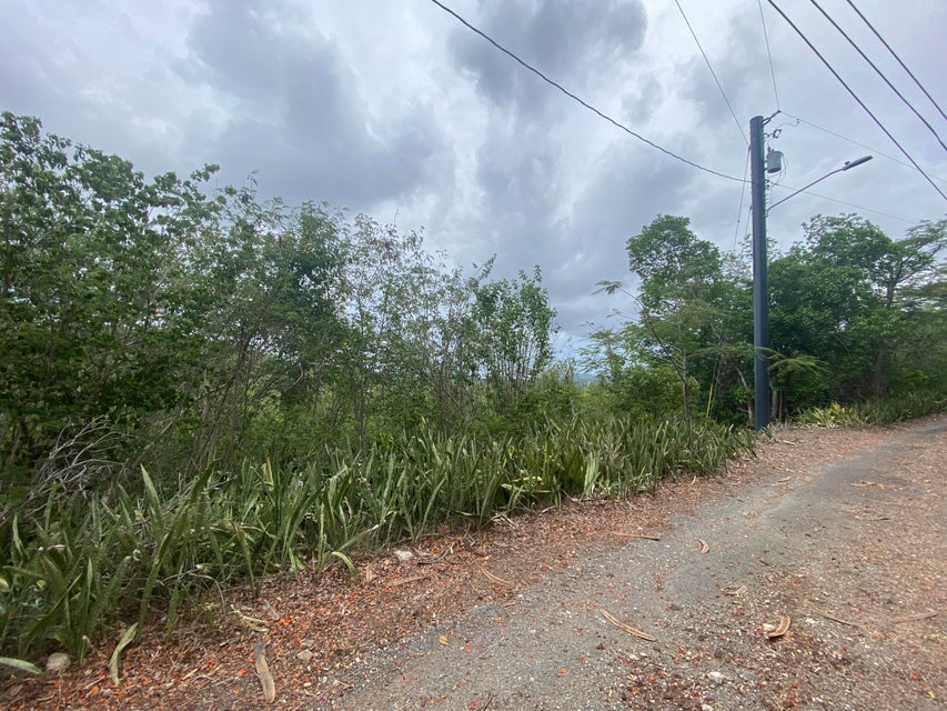 Q66R+XHW, Christiansted, St Croix 00820, USVI Christiansted St. Croix