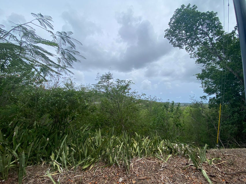 Q66R+XHW, Christiansted, St Croix 00820, USVI Christiansted St. Croix