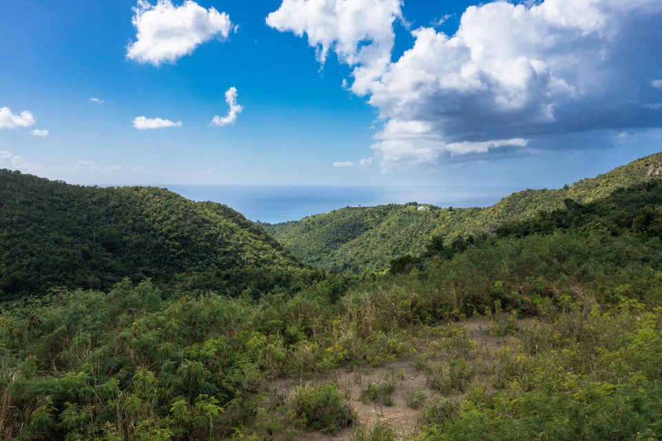 Creque Dam Road Northwest St. Croix
