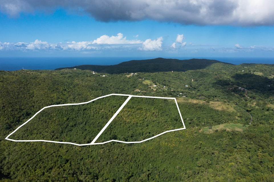 Creque Dam Road Northwest St. Croix