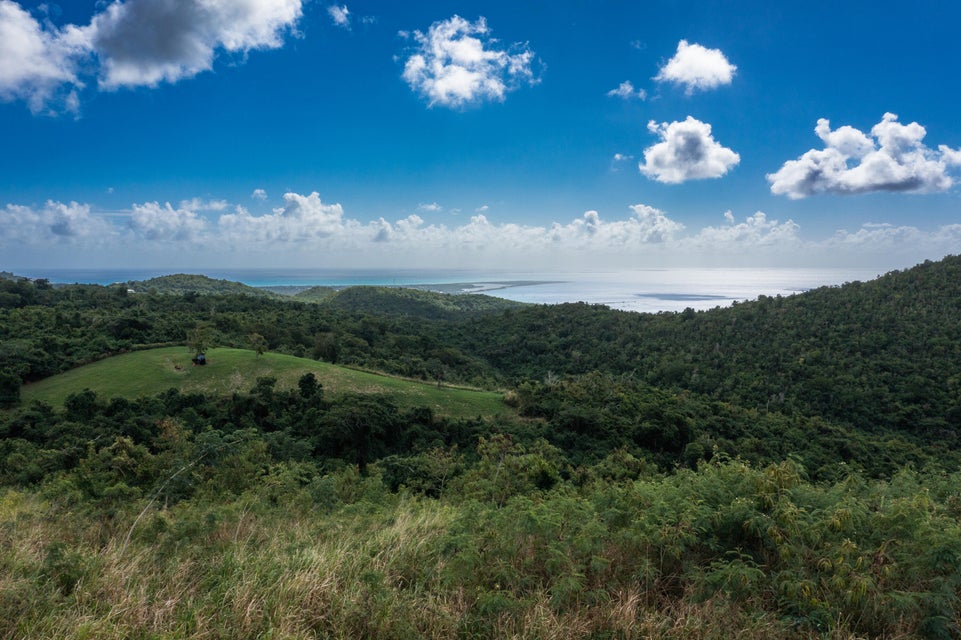 Creque Dam Road Northwest St. Croix
