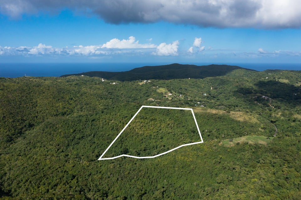 Creque Dam Road Northwest St. Croix