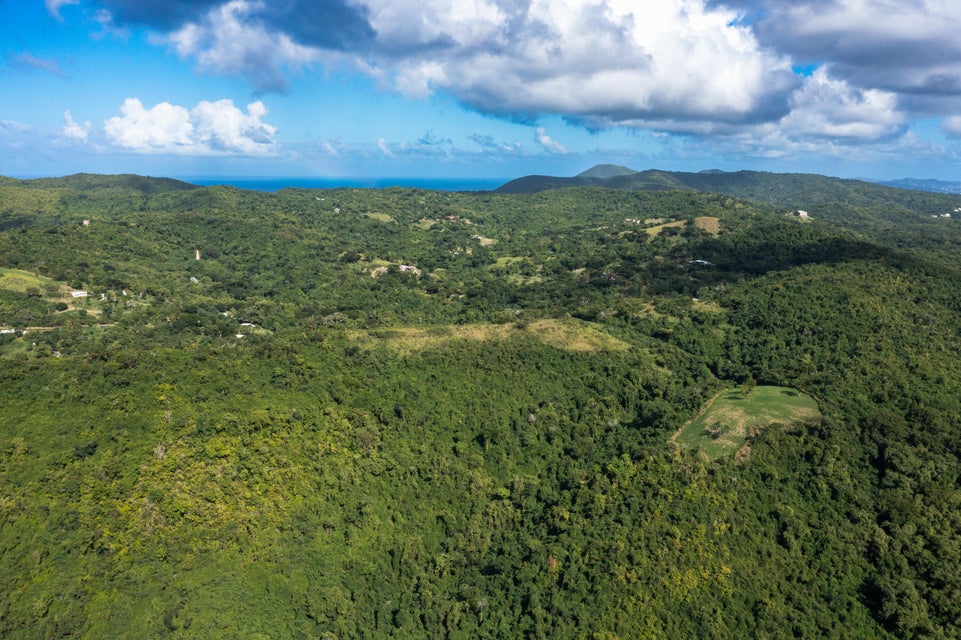 Creque Dam Road Northwest St. Croix