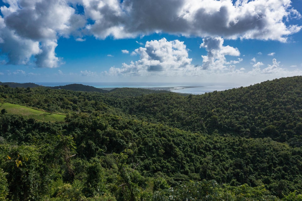 Creque Dam Road Northwest St. Croix