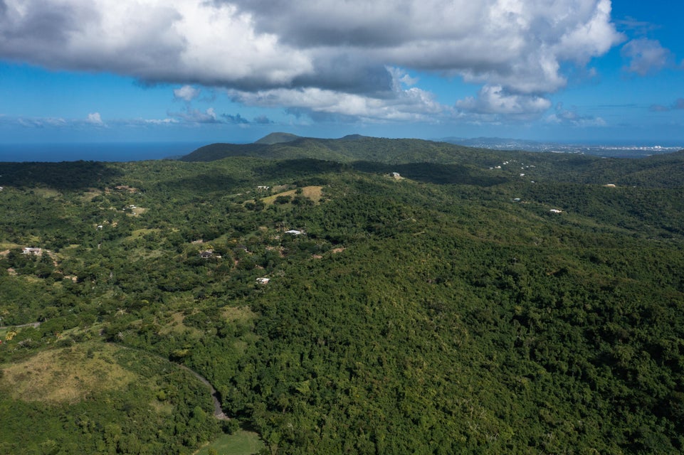 Creque Dam Road Northwest St. Croix