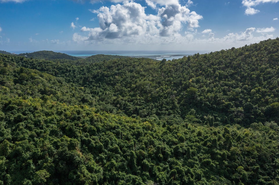 Creque Dam Road Northwest St. Croix