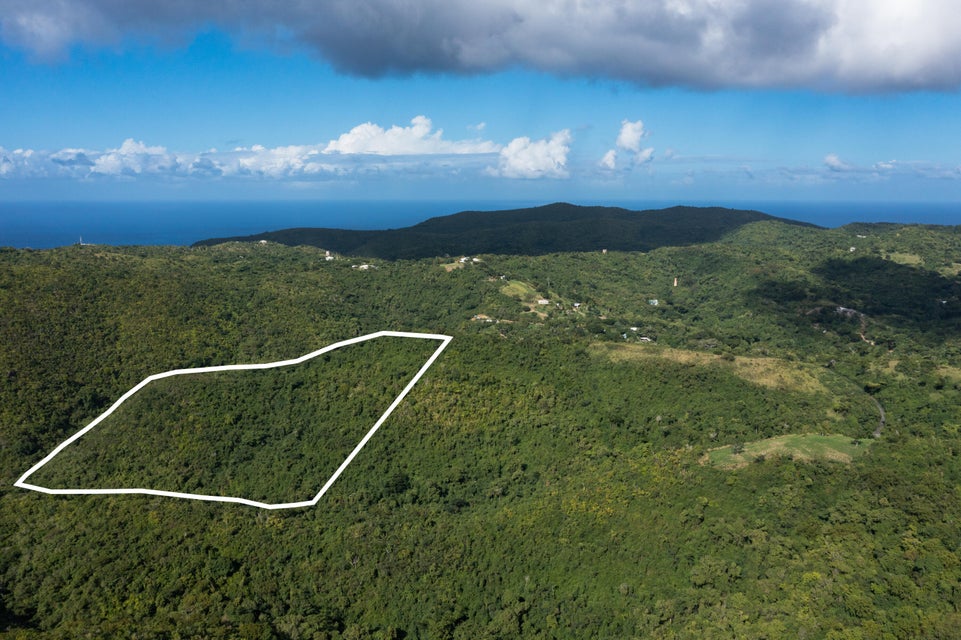 Creque Dam Road Northwest St. Croix