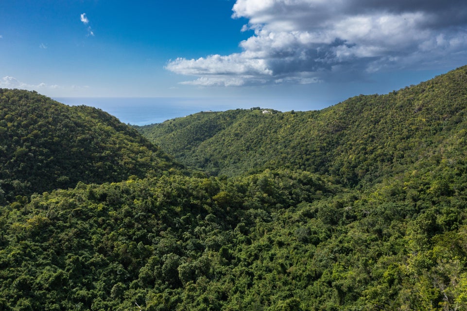 Creque Dam Road Northwest St. Croix