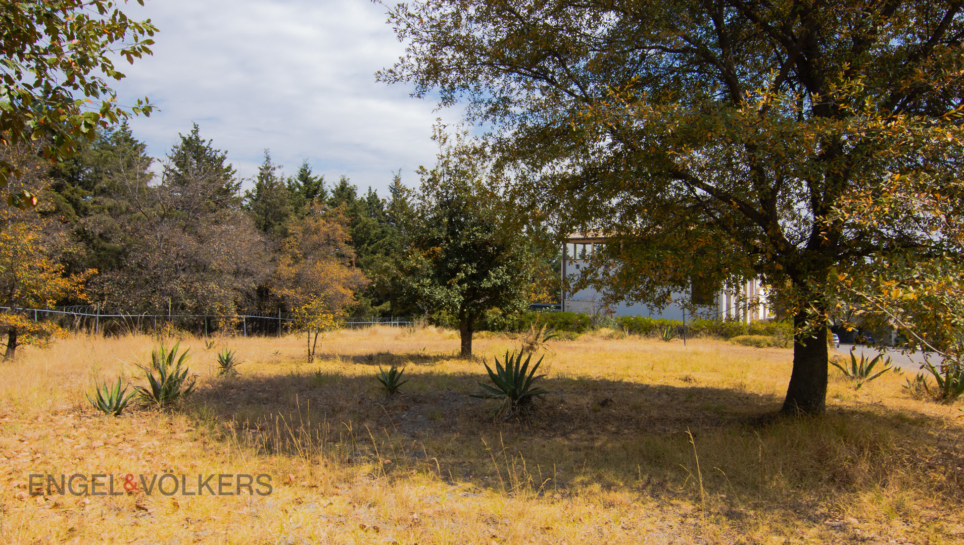 Centenario - Bosques de Tarango, San Mateo, Ãlvaro ObregÃ³n, 01580 Ciudad de MÃ©xico, CDMX, MÃ©xico Mexico City Mexico City