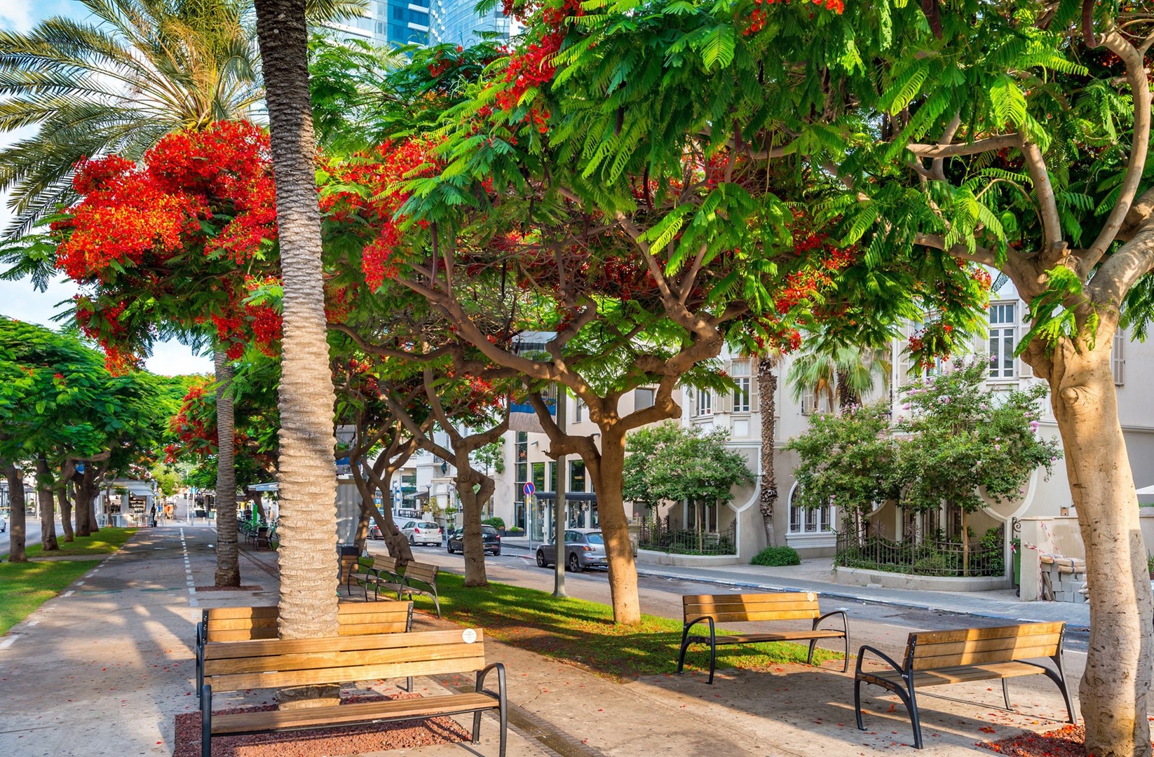 26 Yavne'el Street Tel Aviv-Yafo Tel Aviv District