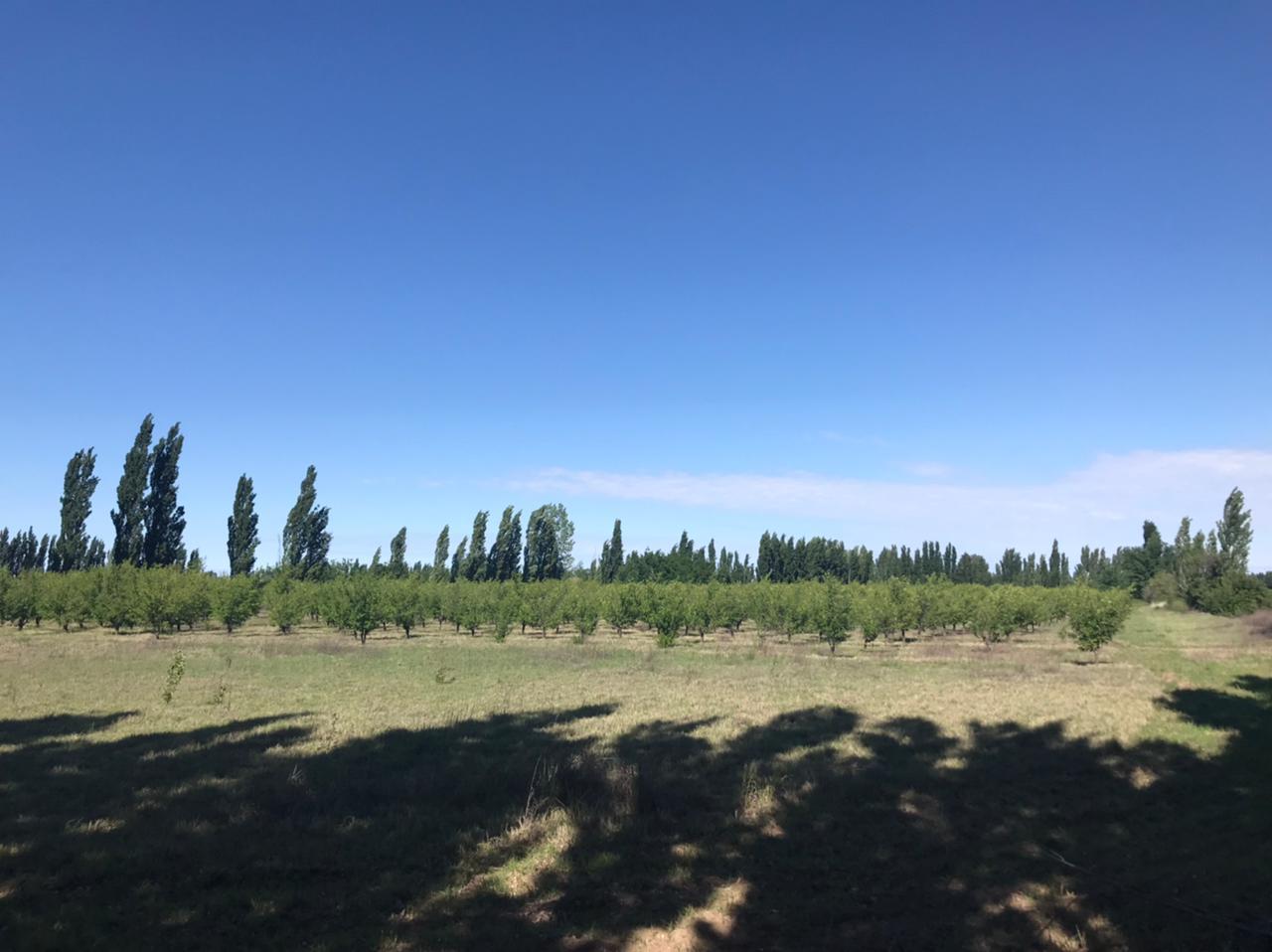 Unnamed Road General Alvear Department Mendoza Province