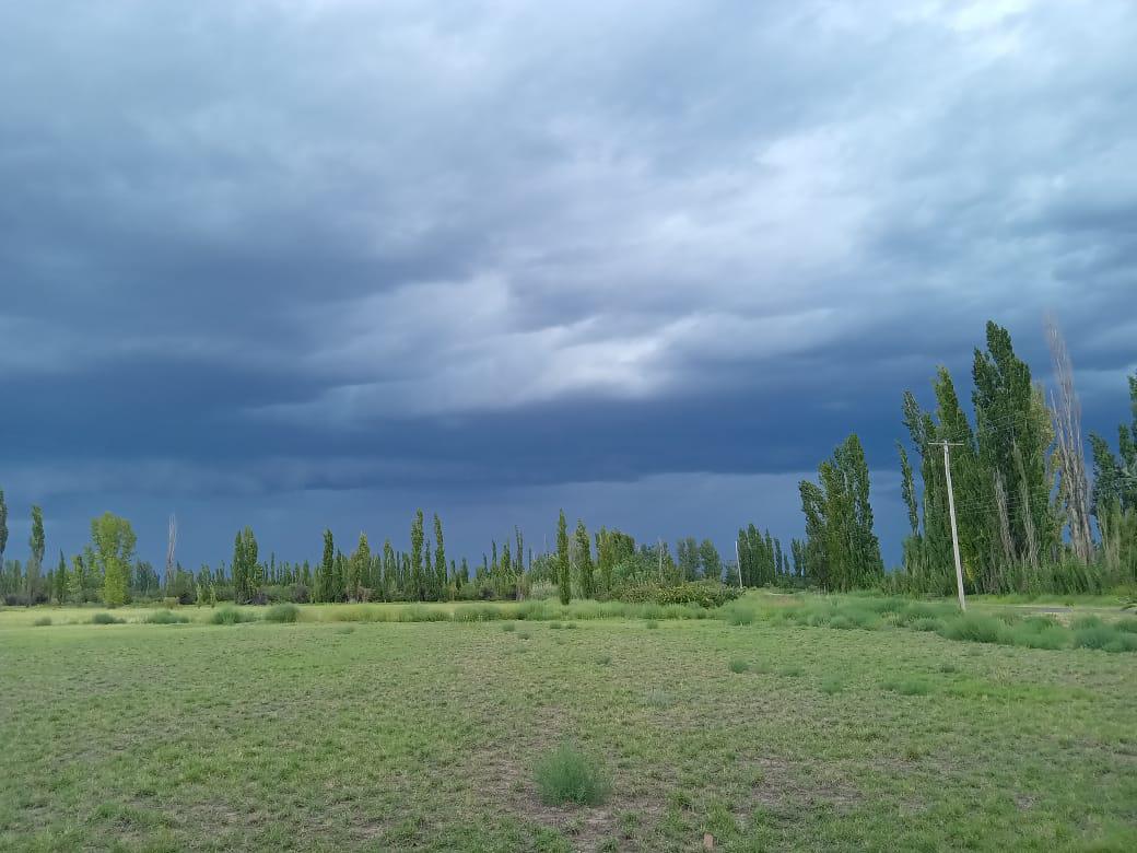 Unnamed Road General Alvear Department Mendoza Province