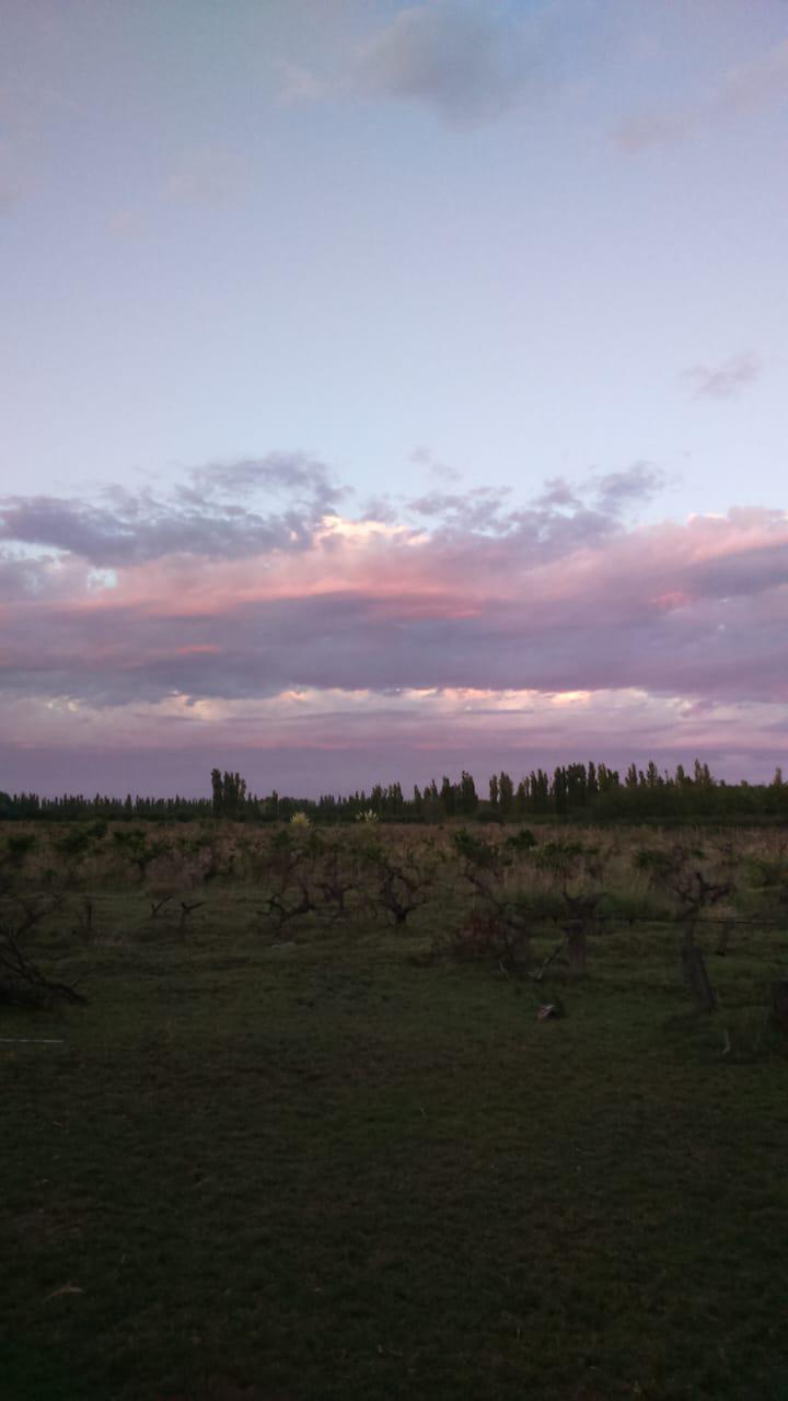 Unnamed Road General Alvear Department Mendoza Province