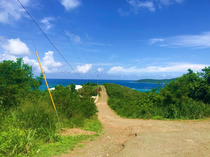 239 Cotton Valley EB East End St. Croix