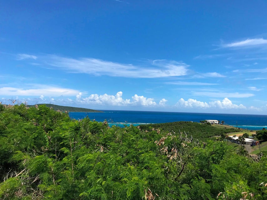 239 Cotton Valley EB East End St. Croix
