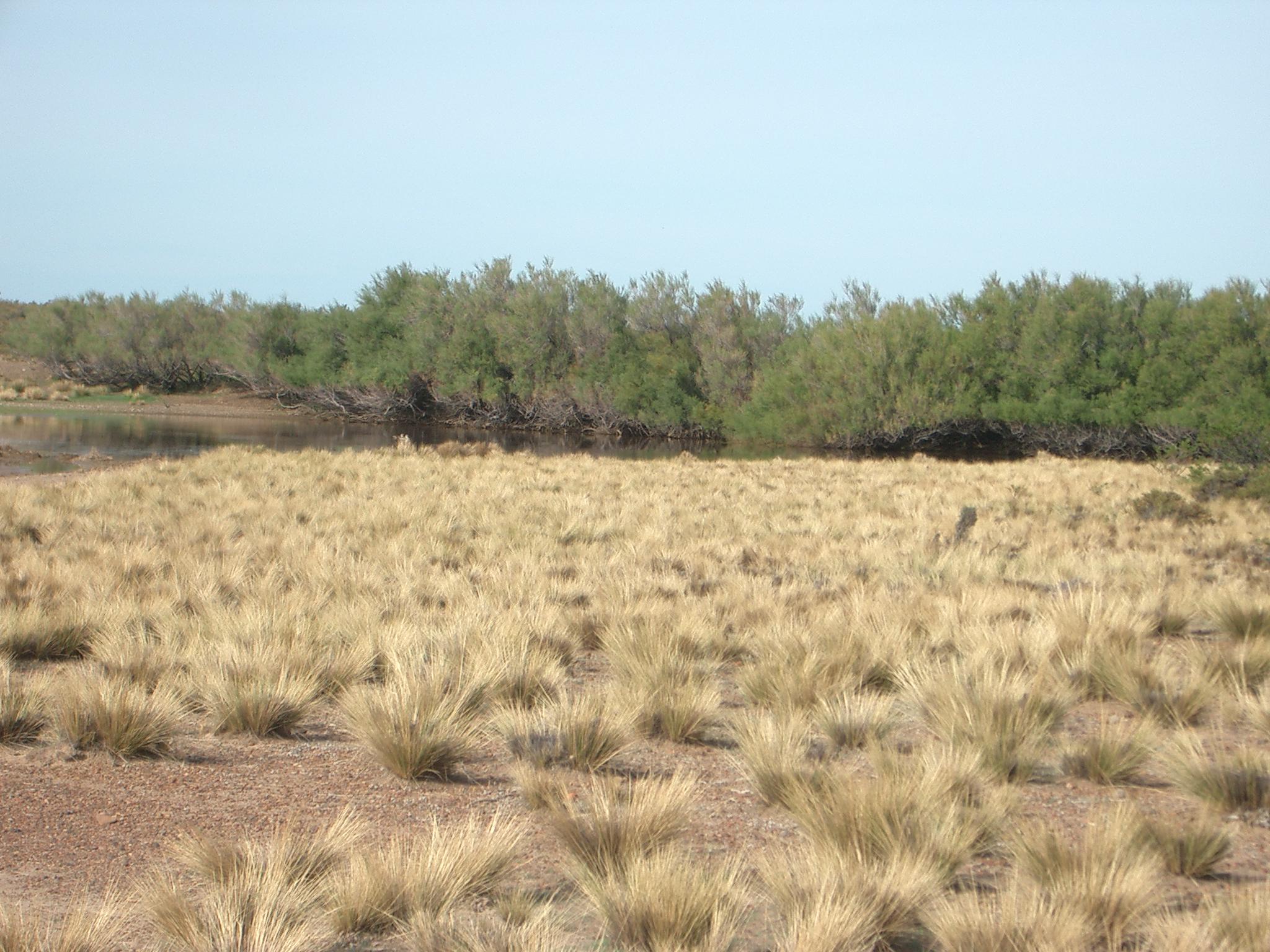 Rawson Rawson Chubut Province