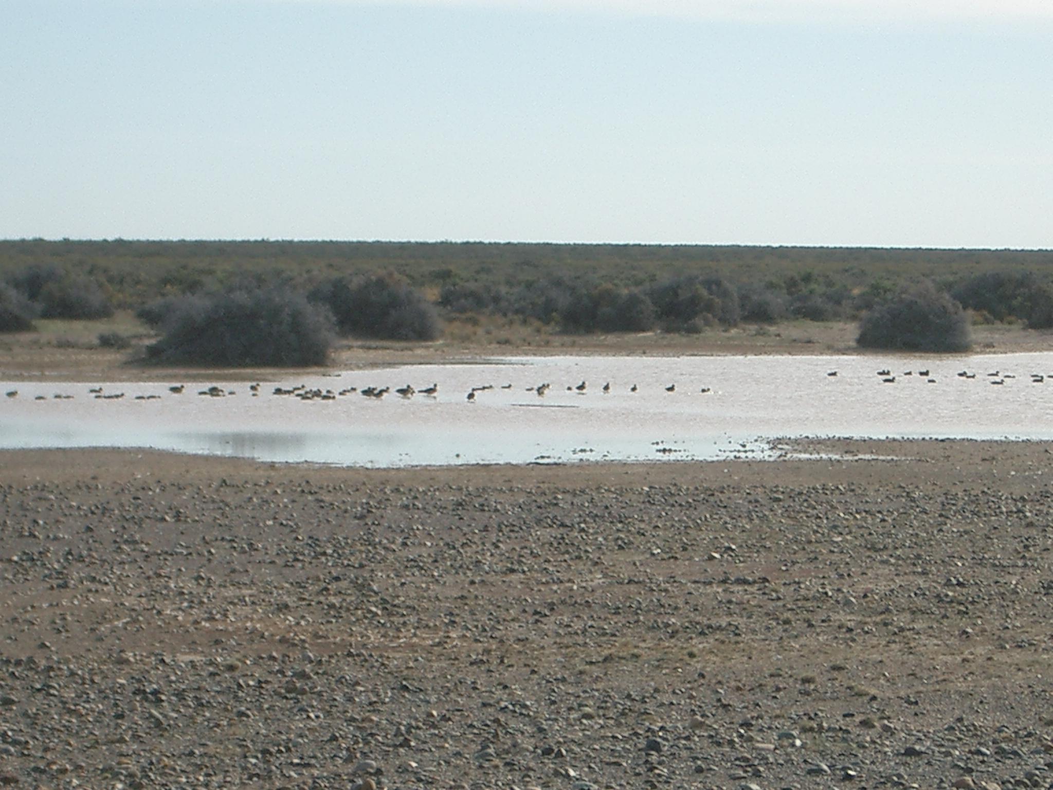 Rawson Rawson Chubut Province