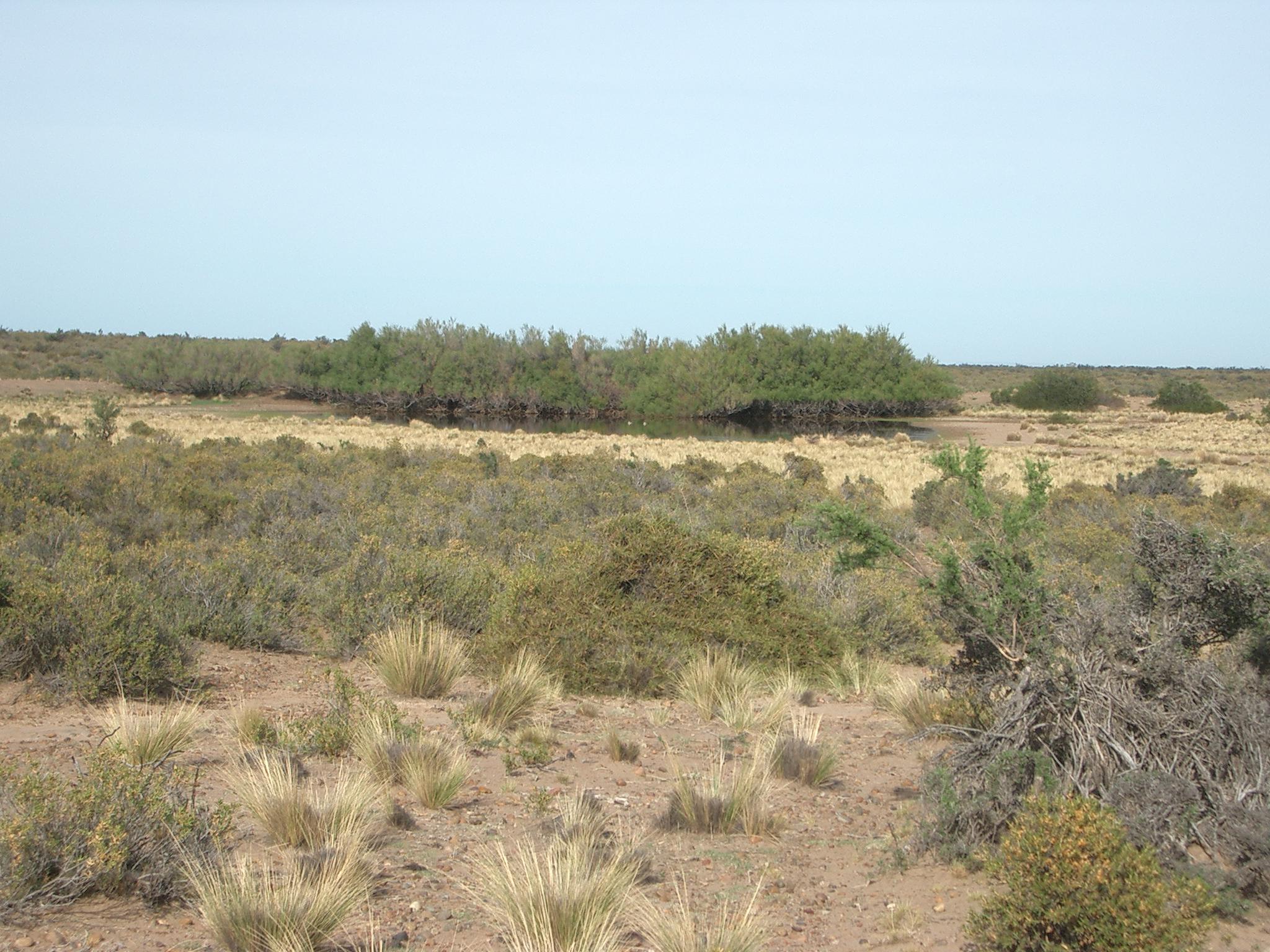 Rawson Rawson Chubut Province