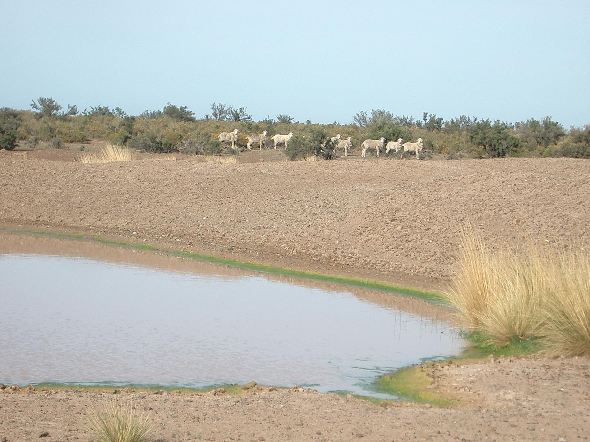 Rawson Rawson Chubut Province