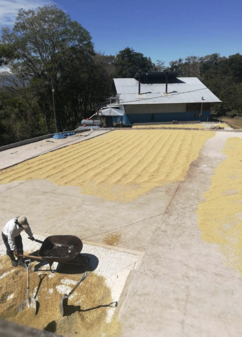 Bajo Boquete, Provincia de Chiriquí, Panamá Boquete Chiriquí Province